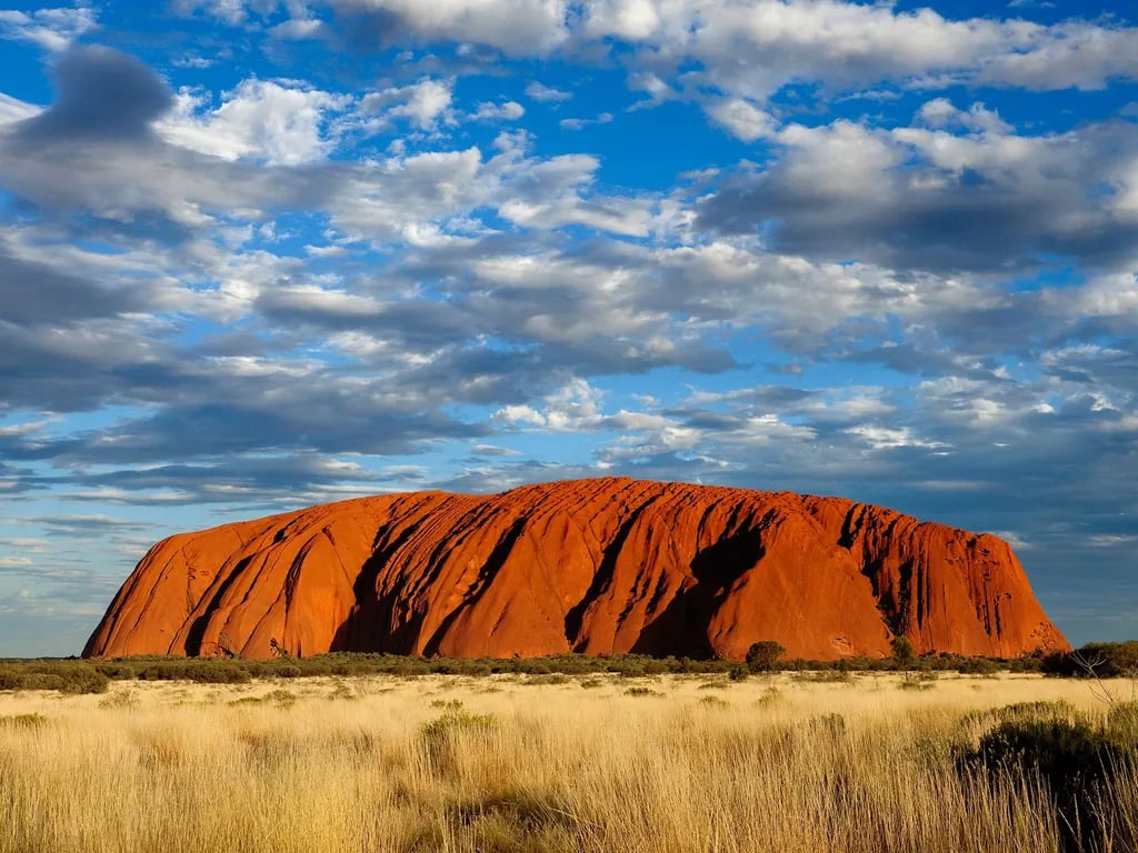 Uluru, Australia travel destination - scenic view of Sunrise Camel Trek at Uluru during ideal visiting season