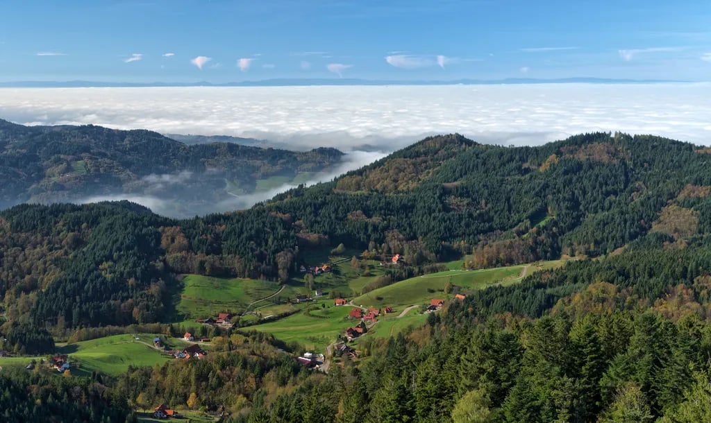 Black Forest, Germany travel destination - scenic view of Sunrise Hike to Feldberg Summit during ideal visiting season