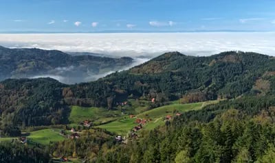 Image of Black Forest, Germany