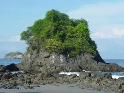 Image of Manuel Antonio National Park, Costa Rica