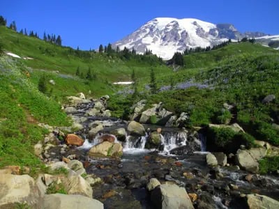 Image of Mount Rainier National Park, USA