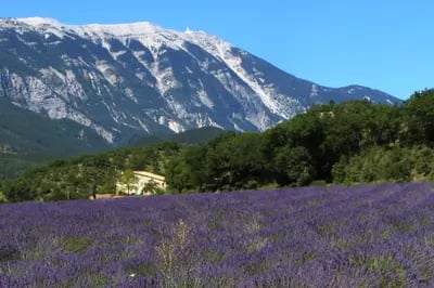 Image of Provence, France