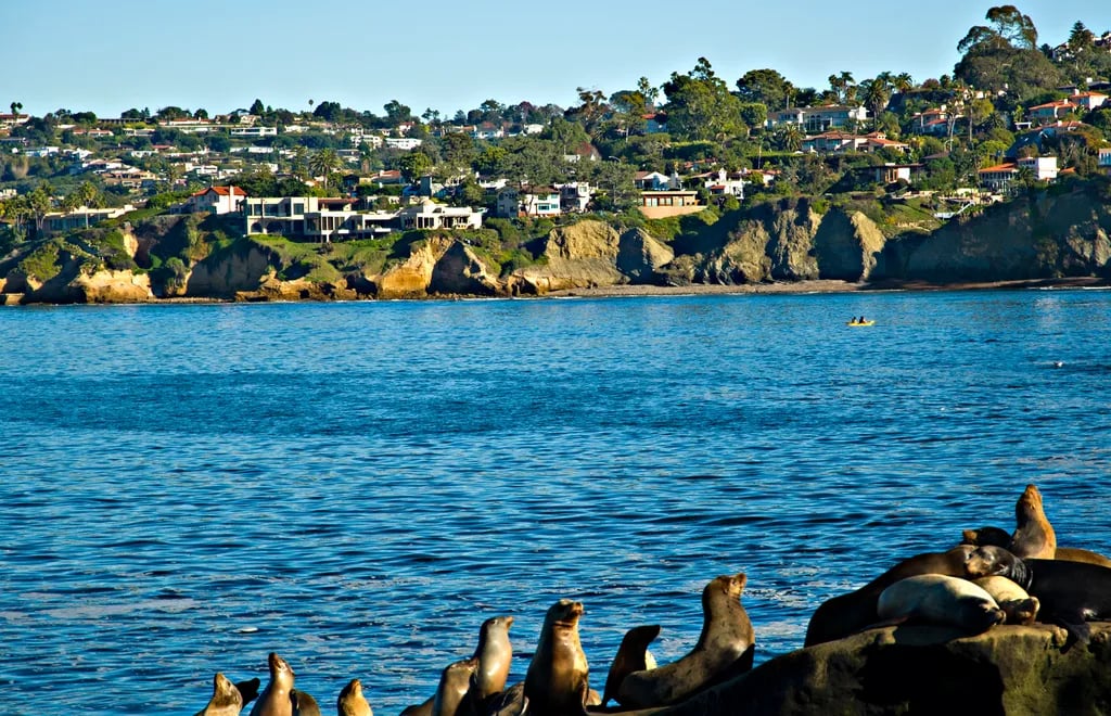 San Diego, USA travel destination - scenic view of Sunrise Kayak in La Jolla Cove during ideal visiting season