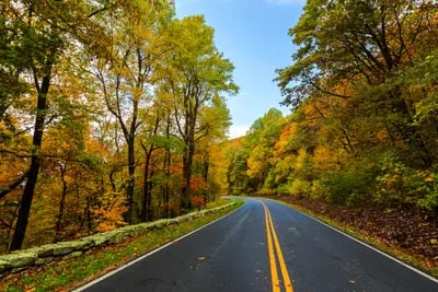 Image of Shenandoah National Park, USA