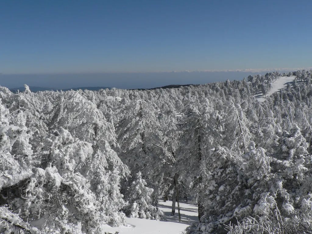 Troodos Mountains, Cyprus travel destination - scenic view of Hike the Artemis Trail to Mount Olympus Summit during ideal visiting season