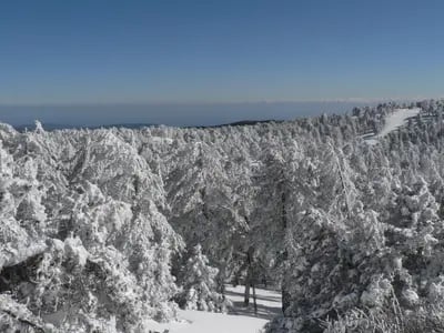 Image of Troodos Mountains, Cyprus